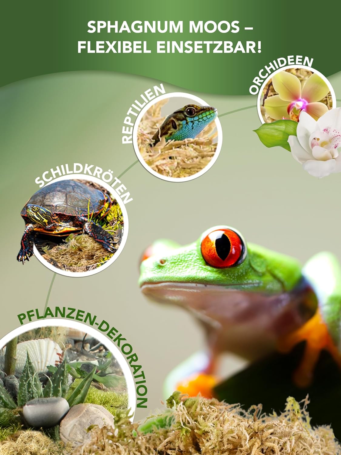 1771611855 81T2bZLvhOL. AC SL1500 .jpg