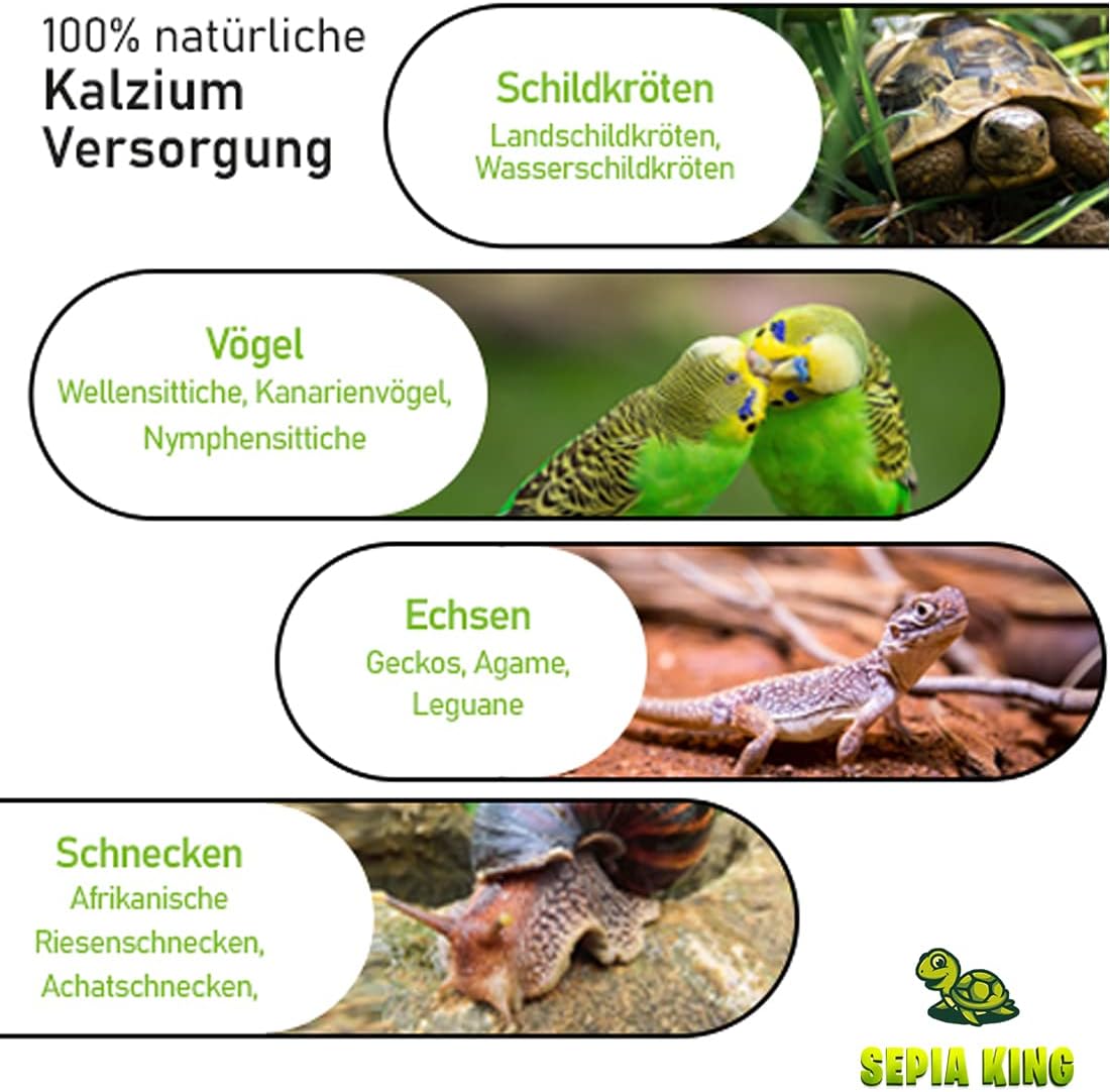 1771614394 617GWvqQ1S. AC SL1200 .jpg