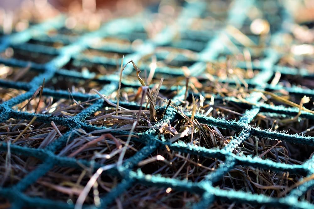 1772310158 6170s0UPgeL. AC SL1000 .jpg