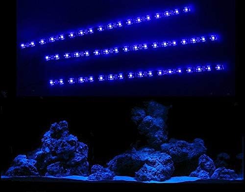 creative Lights – Licht & Design Aquarium Moonlight 3 x 30 cm LED-Lichtleiste Komplettset inkl. Netzteil Flexibel Slim Blau creative Lights – Licht & Design Aquarium Moonlight 3 x 30 cm LED-Lichtleiste Komplettset inkl. Netzteil Flexibel Slim Blau