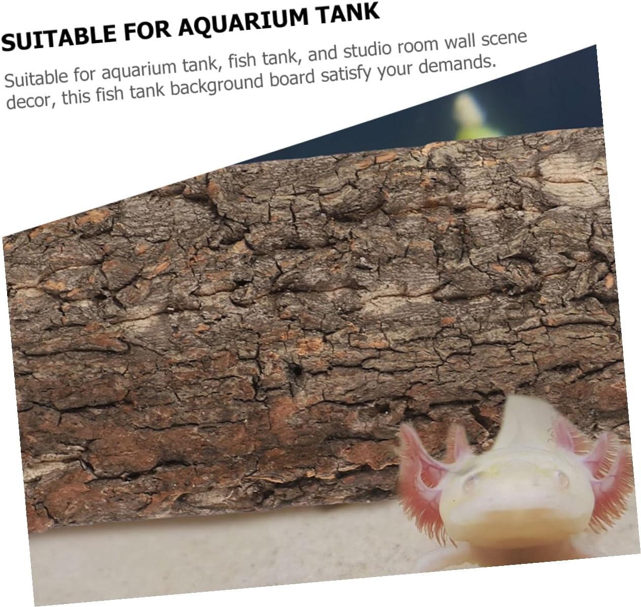 71SEE0AGdyL. AC SL1301 .jpg