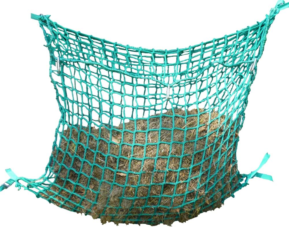 71SXXKYN74L. AC SL1000 .jpg