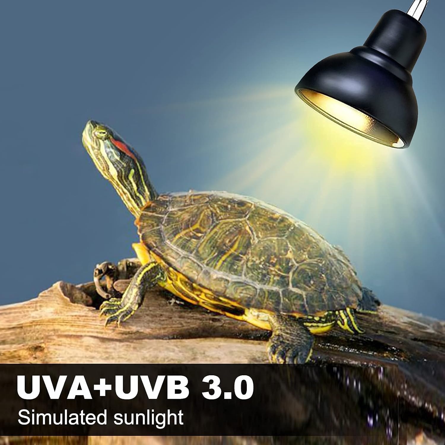 71cJi9 3zaL. AC SL1500 .jpg