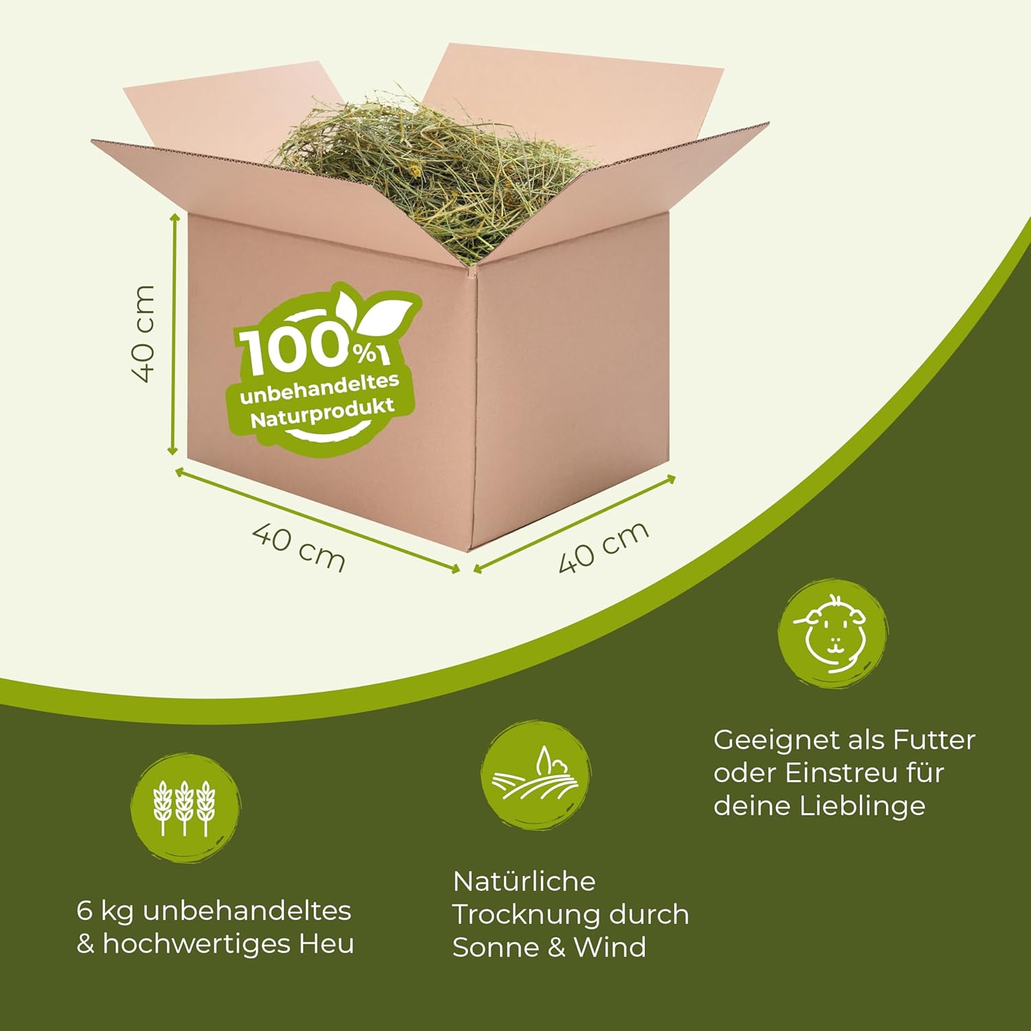 71jI6i6DFLL. AC SL1500 .jpg