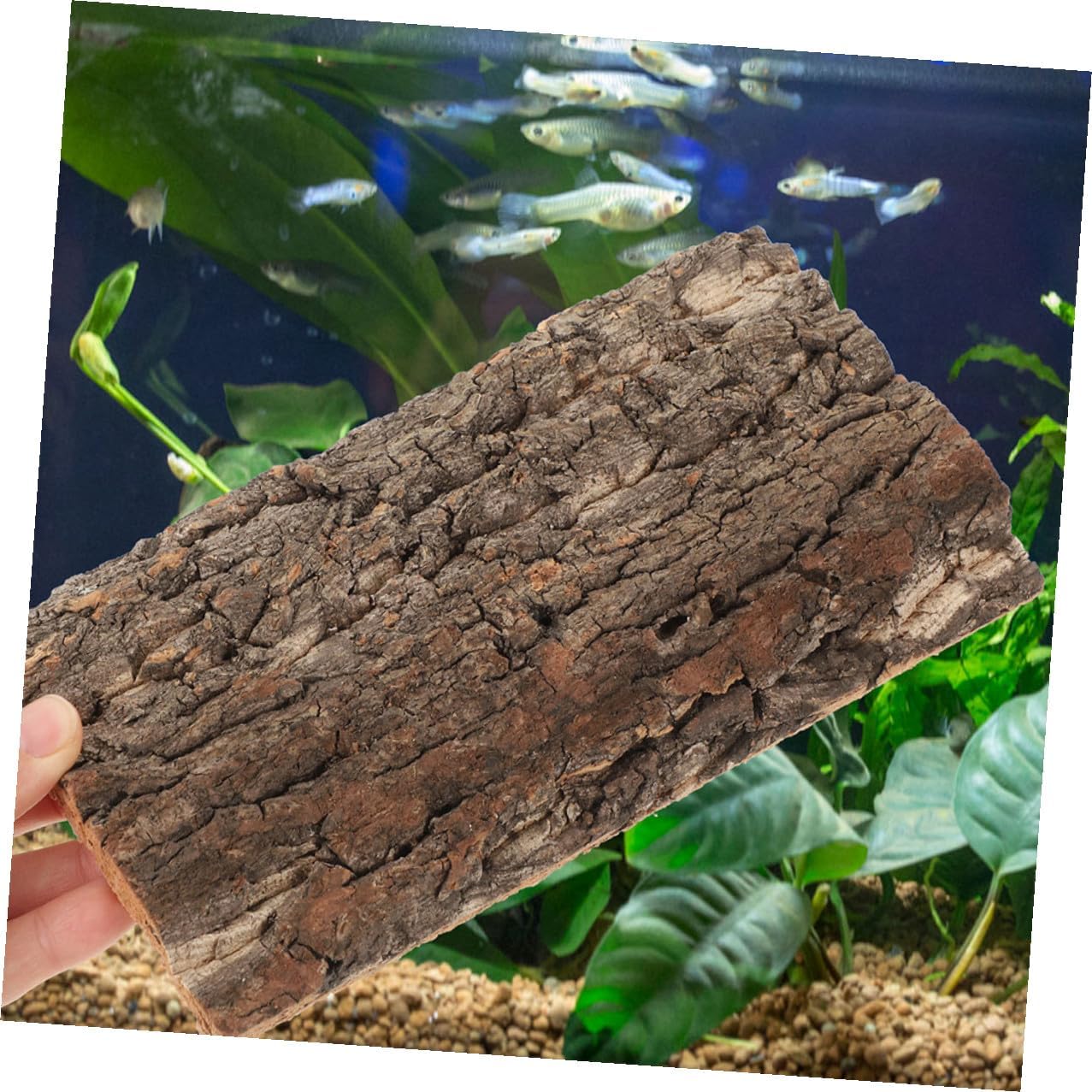 71nBTZj1J4L. AC SL1277 .jpg