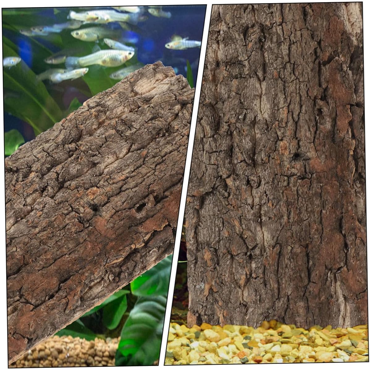 71waBt3sSKL. AC SL1217 .jpg