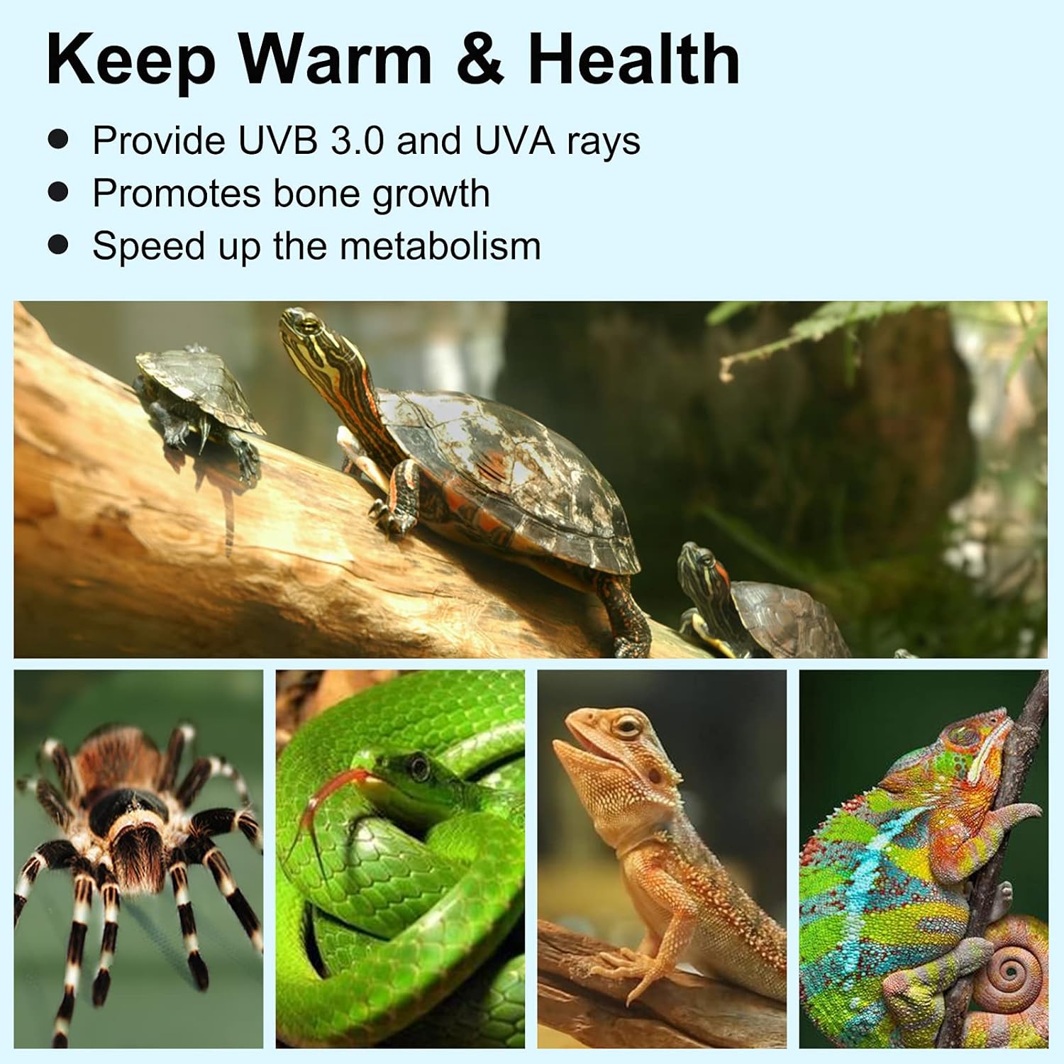 71yc7hTtEUL. AC SL1500 .jpg