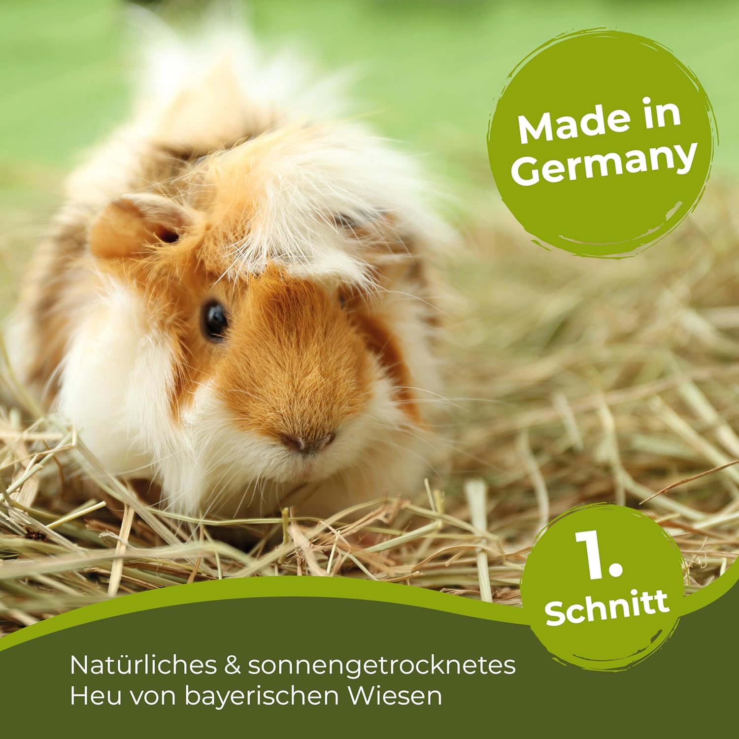 81nhU5JggL. AC SL1500 .jpg