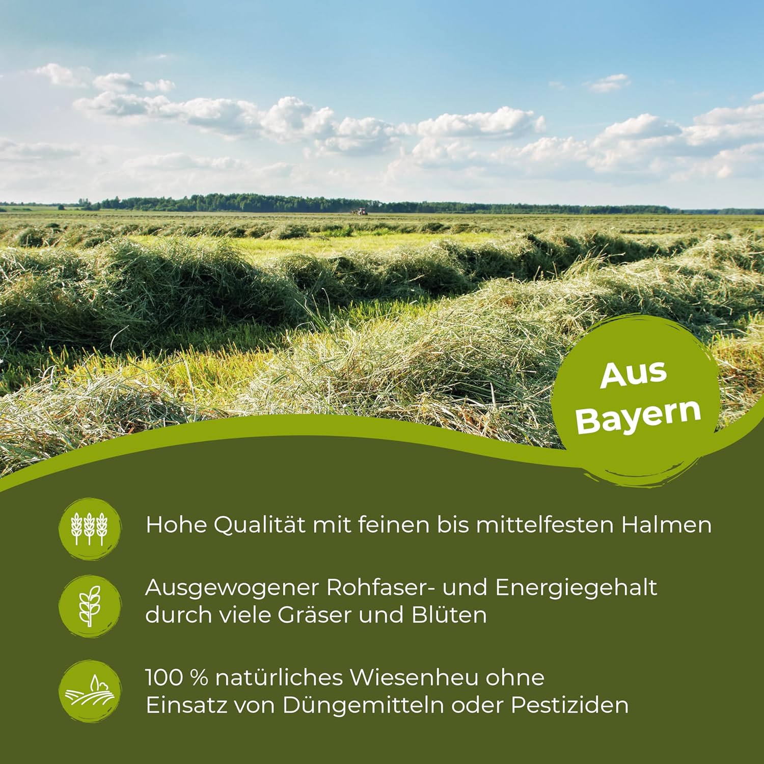 91BWzVFAQVL. AC SL1500 .jpg