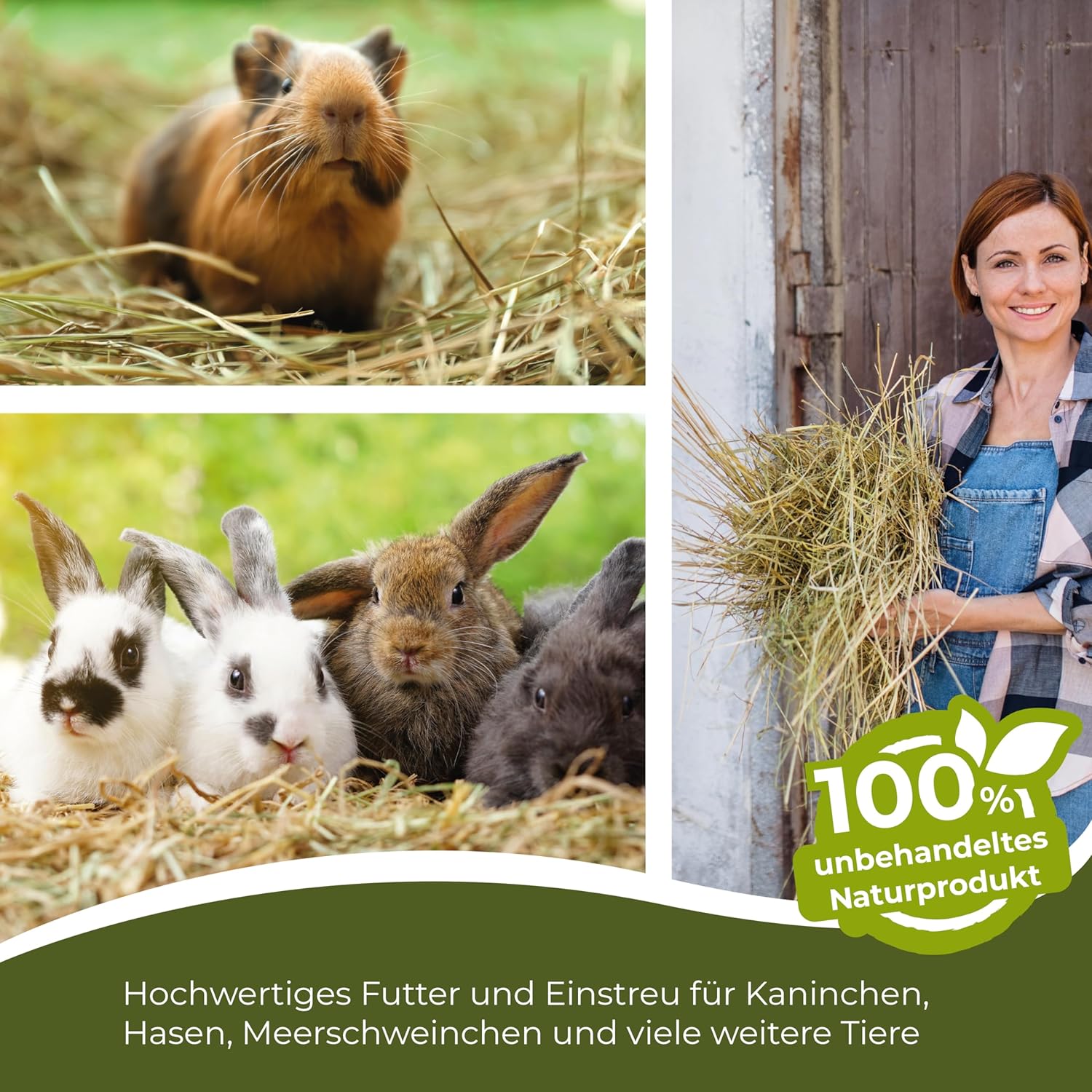 91KE NEoRBL. AC SL1500 .jpg