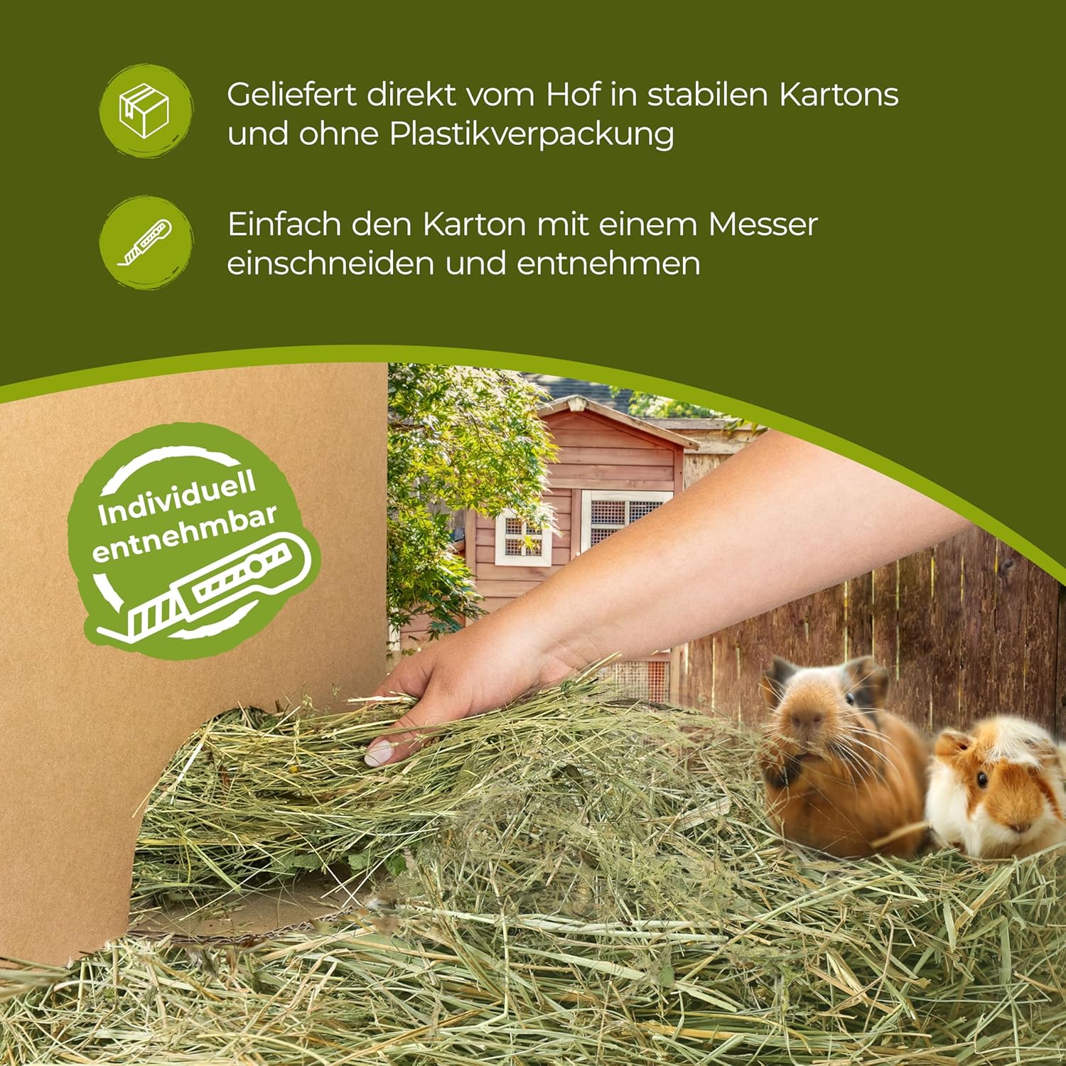 91RTjGMM5HL. AC SL1500 .jpg