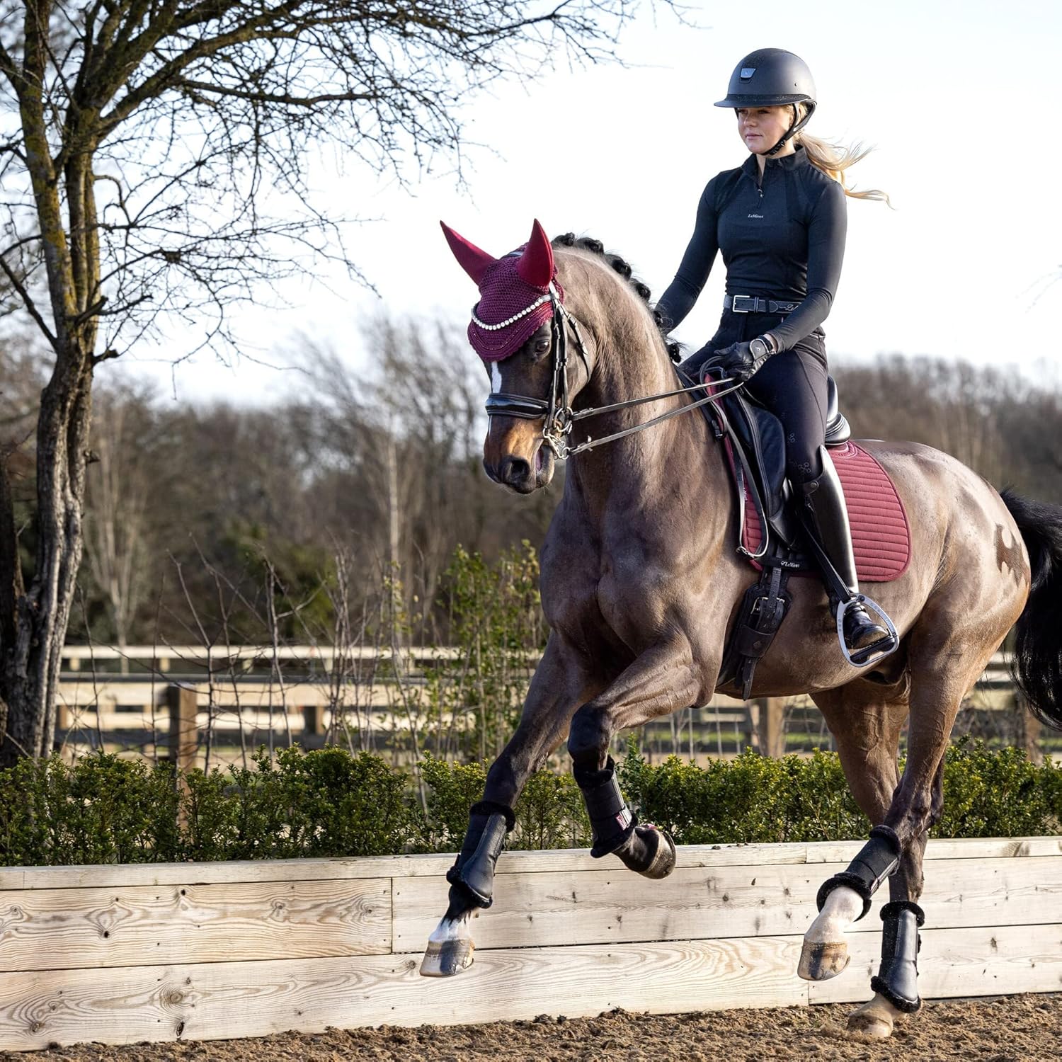 91dwFd2gCvL. AC SL1500 .jpg