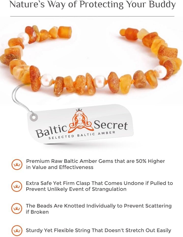 1772334118 616fhtDA31L. AC SL1024 .jpg