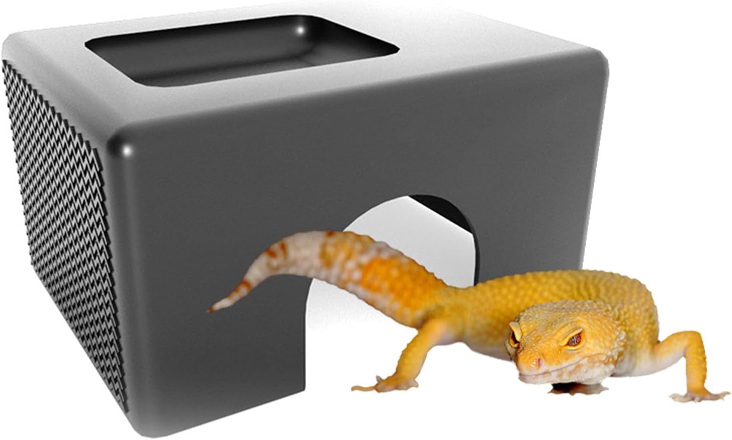 1772375233 61BGpPSZYL. AC SL1500 .jpg