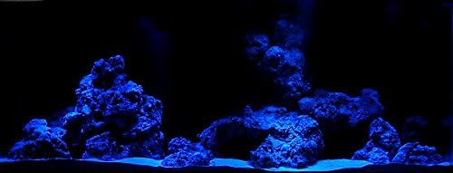 1772388763 41Hy3SaYcZL. AC .jpg