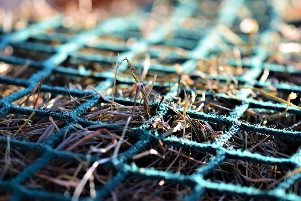 1772402652 61dWIxG0tUL. AC SL1000 .jpg