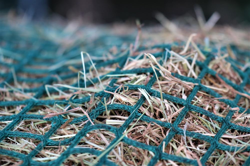 1772402653 61lUhnNXTGL. AC SL1000 .jpg