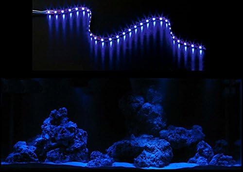 creative Lights Aquarium Moonlight, LED-Lichtleiste 60 cm + Dimmer Komplettset Flexi-Slim Blau creative Lights Aquarium Moonlight, LED-Lichtleiste 60 cm + Dimmer Komplettset Flexi-Slim Blau