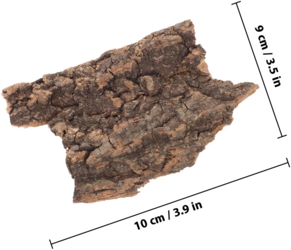 51JoCszBpL. AC SL1216 .jpg