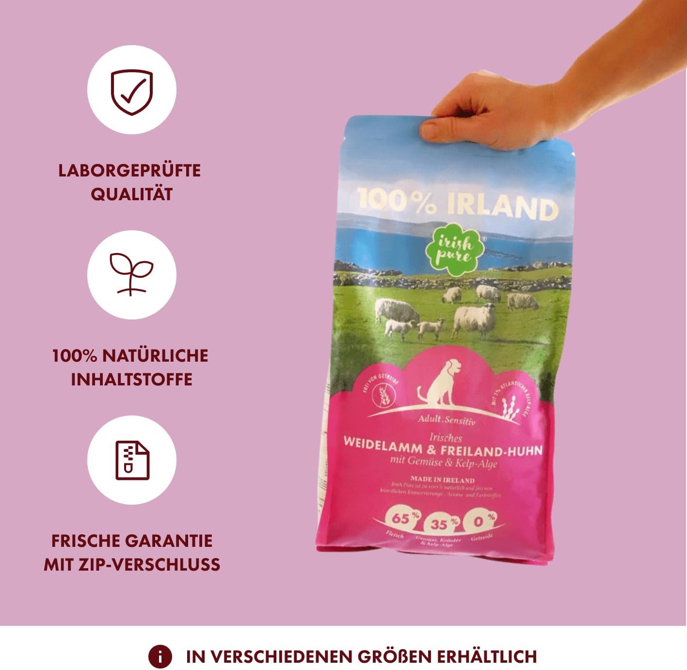 61WlsHLRALL. AC SL1417 .jpg