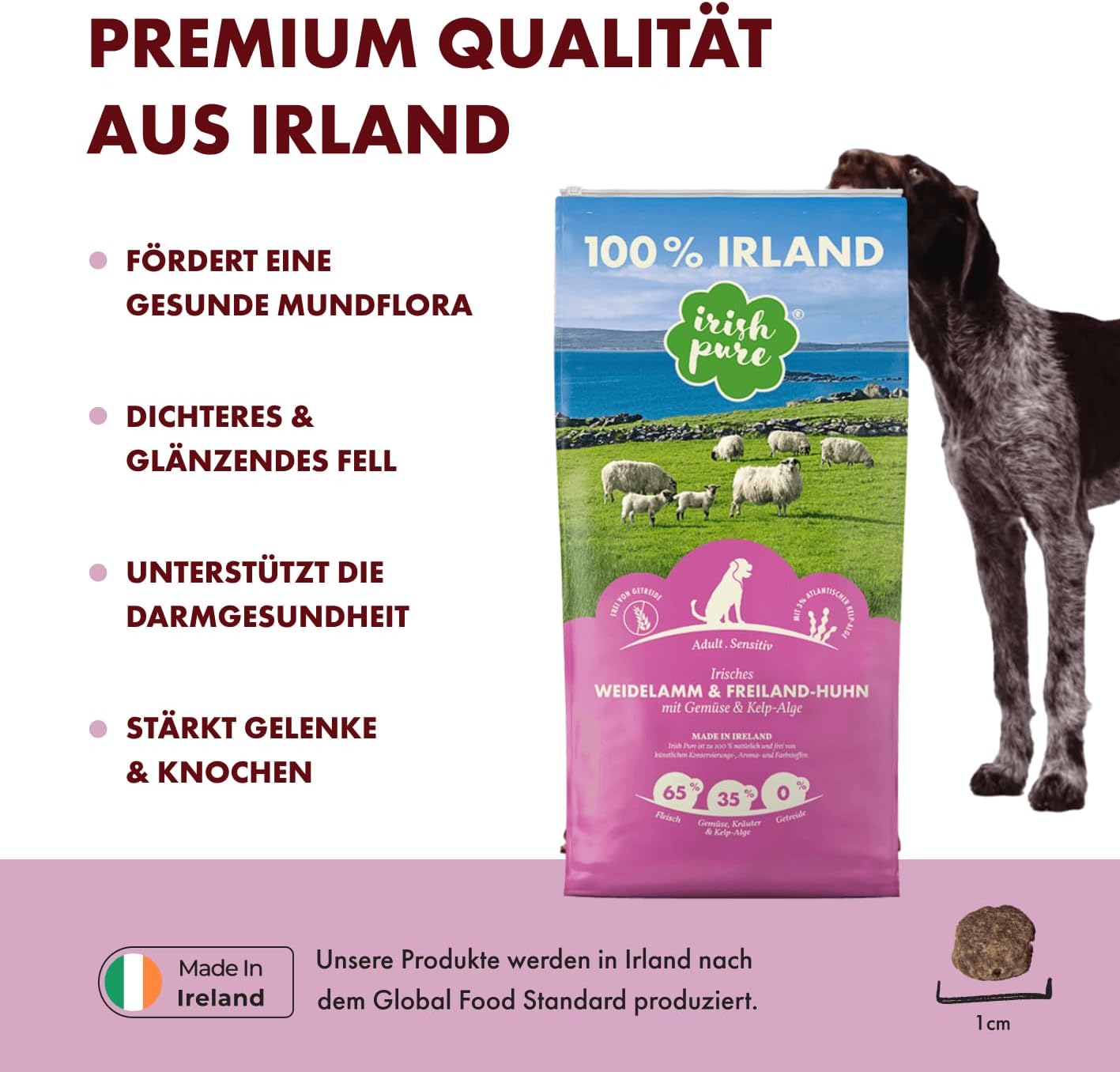 71FOlzdUYL. AC SL1417 .jpg