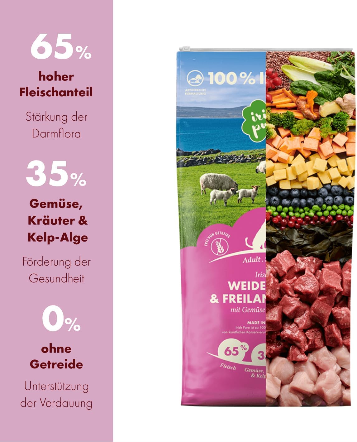 71HjirNVUaL. AC SL1418 .jpg