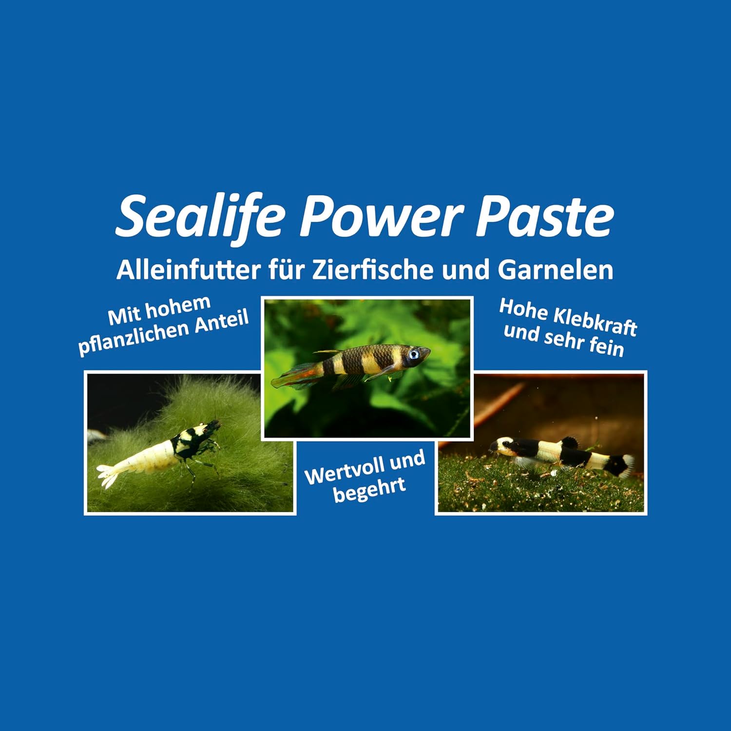 71VPKQEXSAL. AC SL1500 .jpg