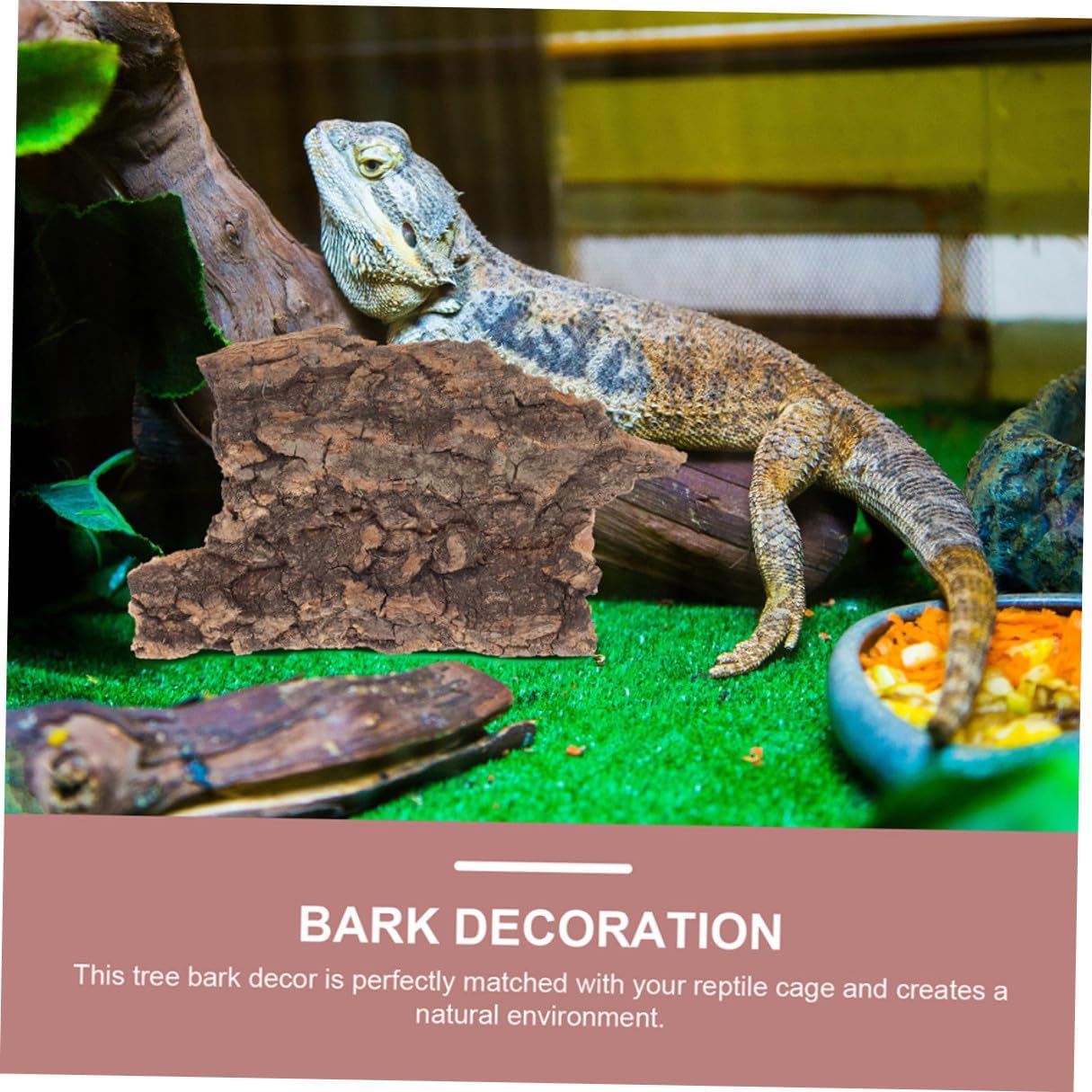 71iLx LtKL. AC SL1215 .jpg