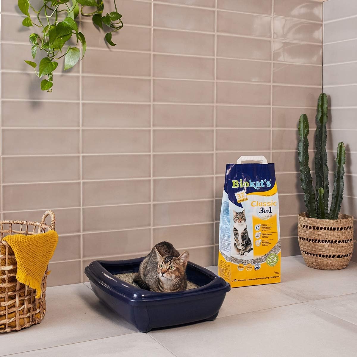 71ipaMVJbZL. AC SL1200 .jpg