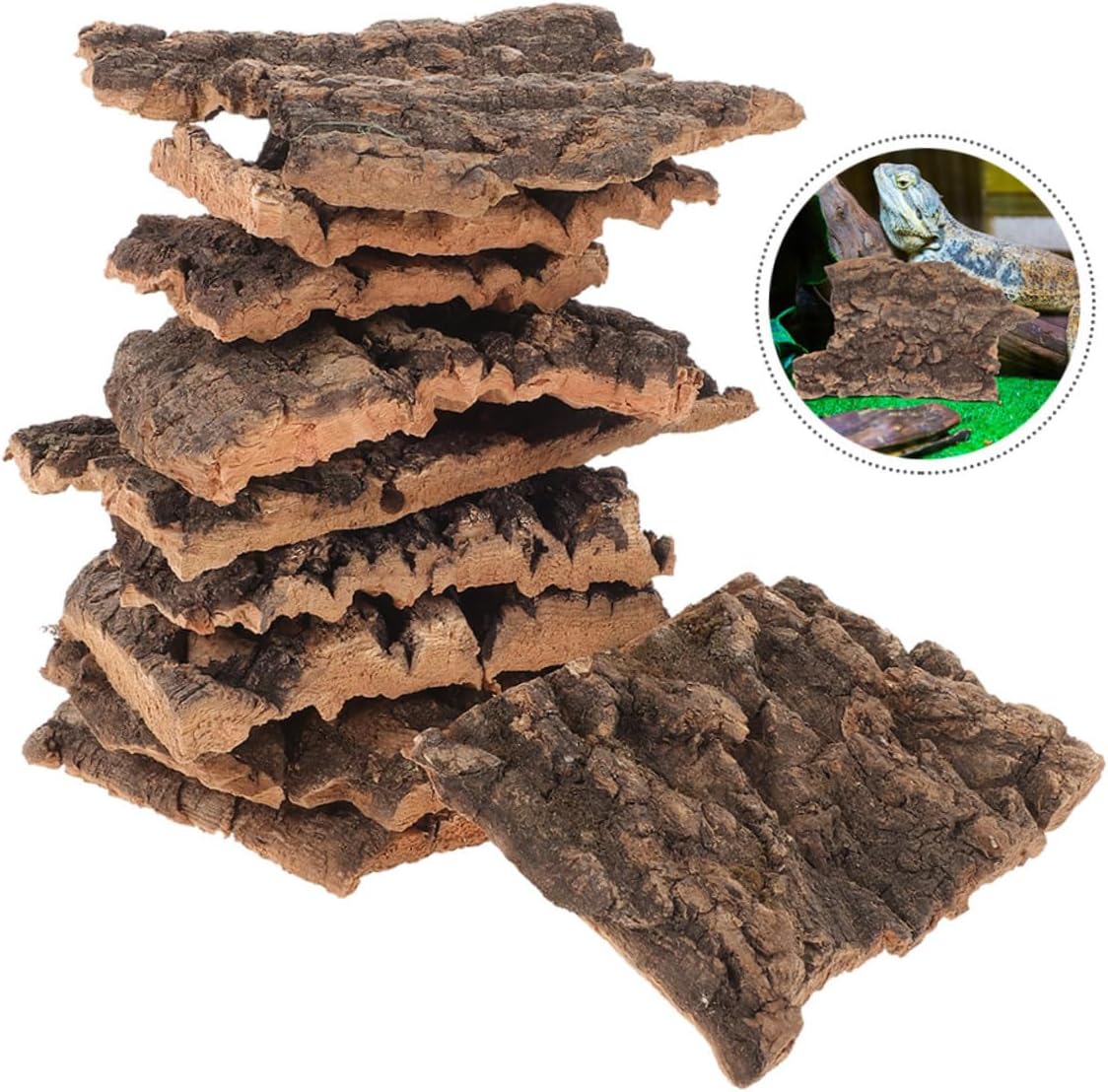 71wZ6 jw3sL. AC SL1240 .jpg