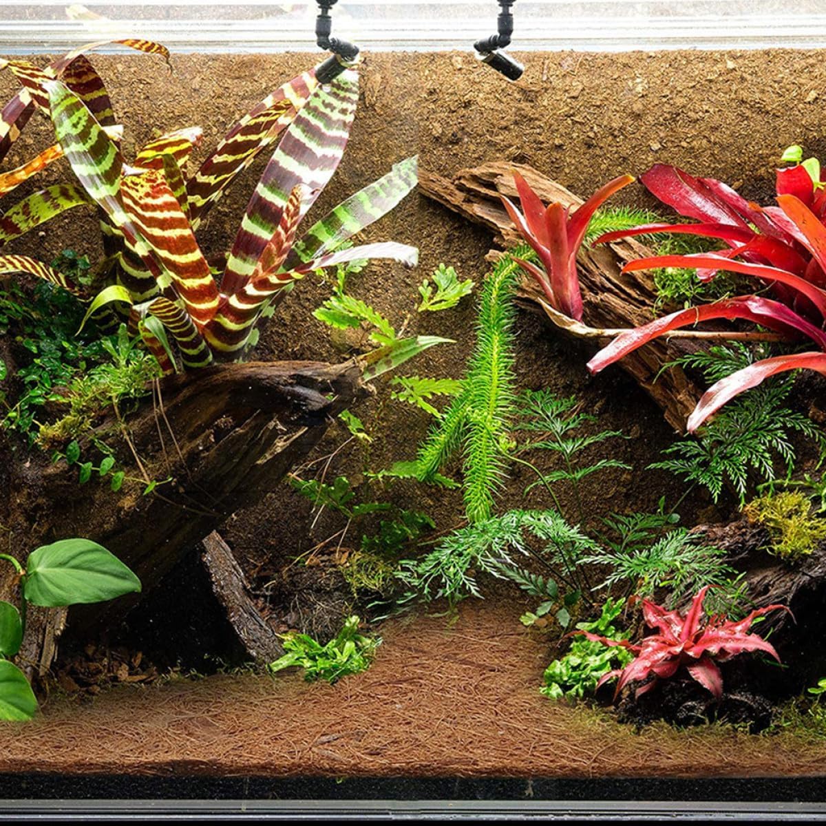 81B5KMBEeIL. AC SL1200 .jpg