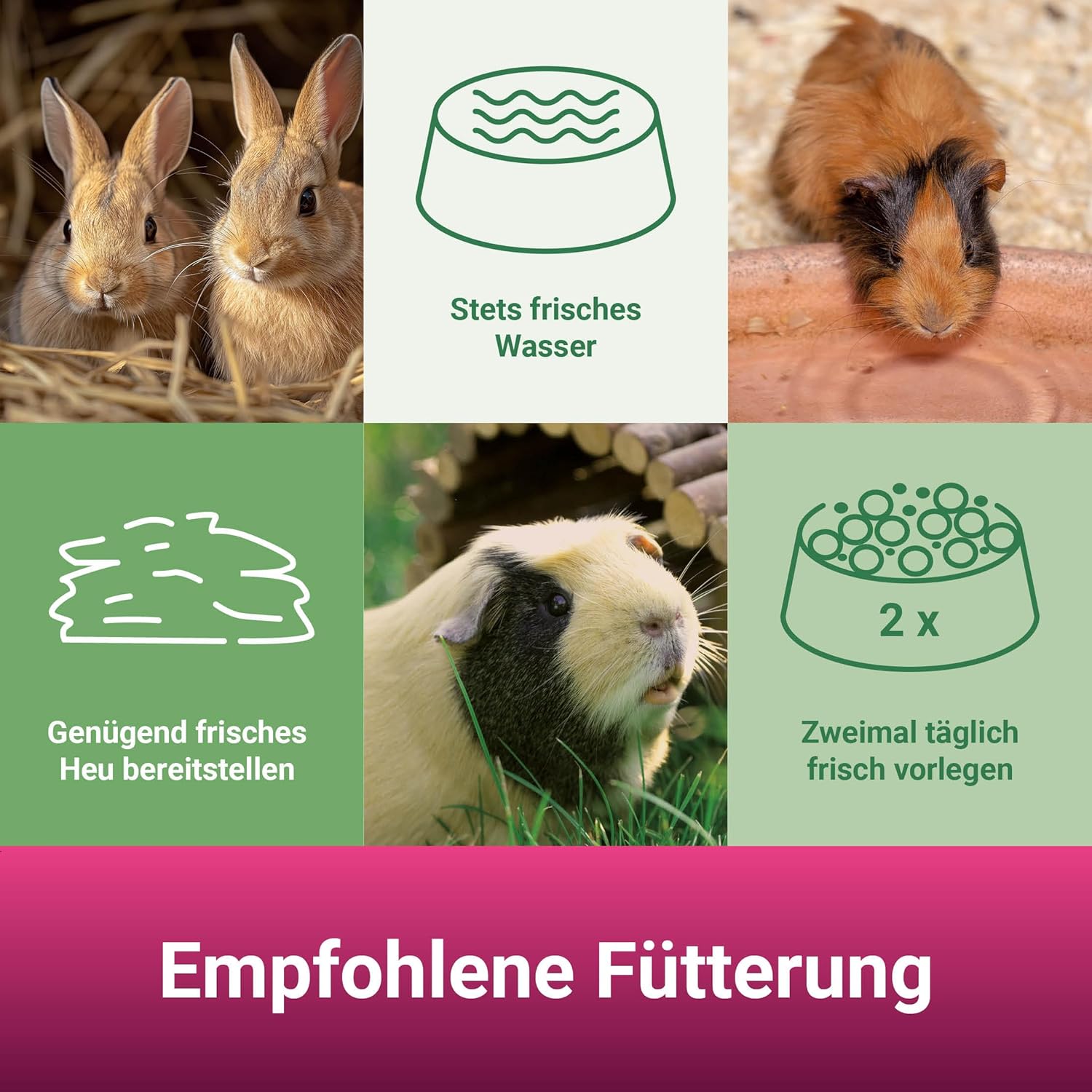 81GefBl3ySL. AC SL1500 .jpg