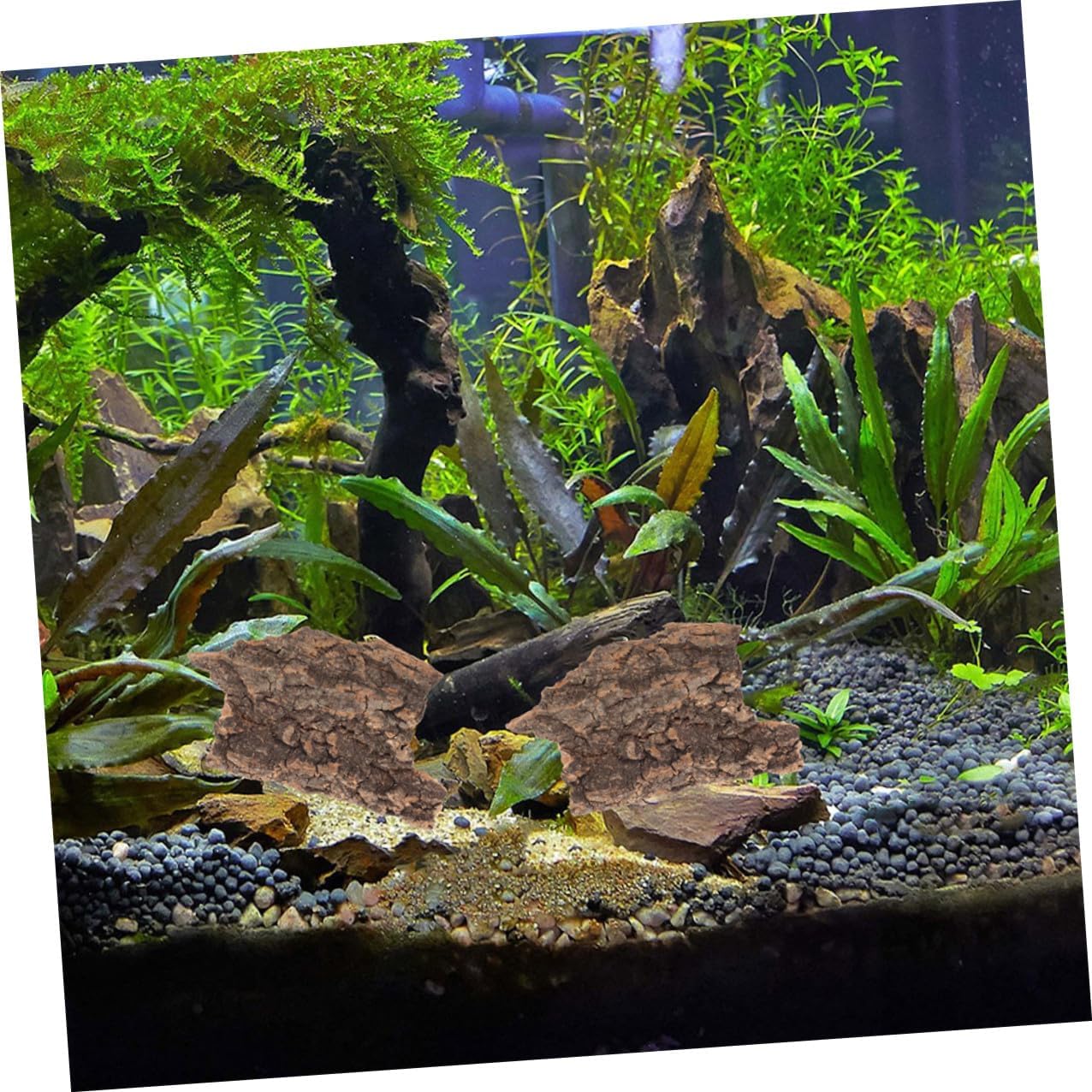 81jBKtIU9L. AC SL1276 .jpg