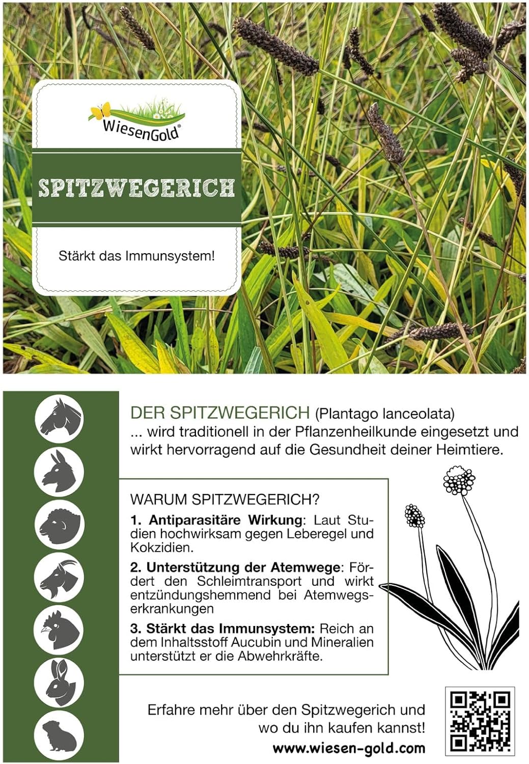 81q4BmrnFWL. AC SL1500 .jpg