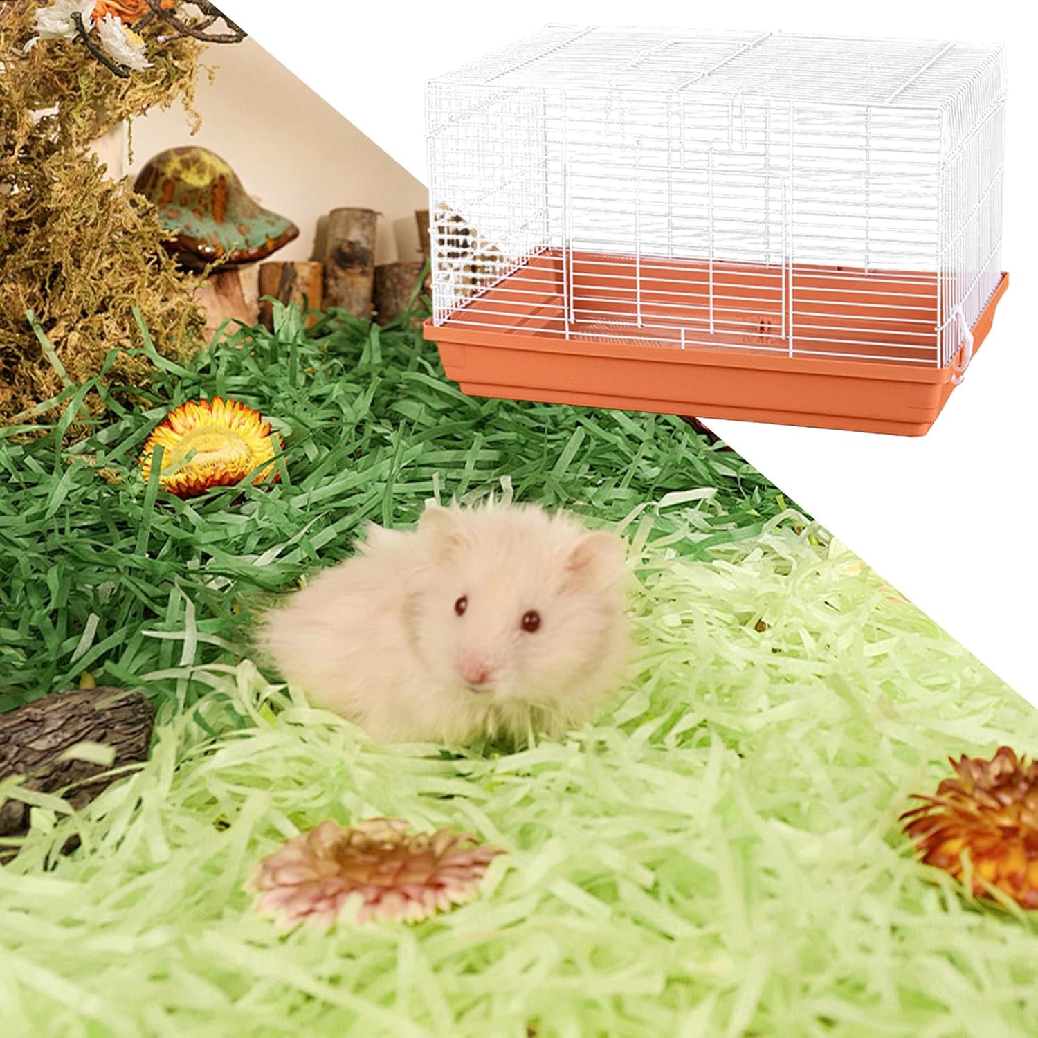 81utaRdiYjL. AC SL1500 .jpg