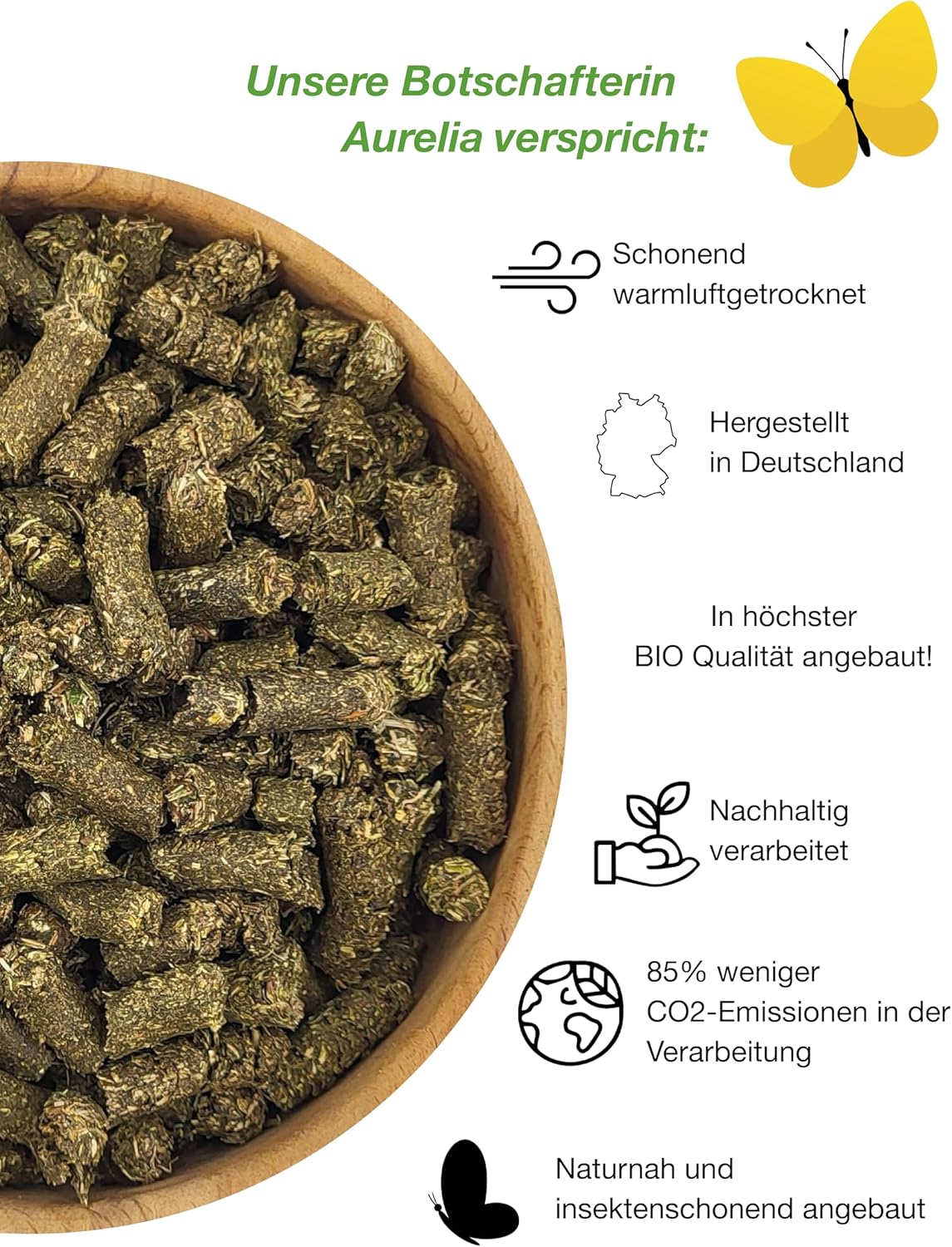 81woQ8UWneL. AC SL1500 .jpg