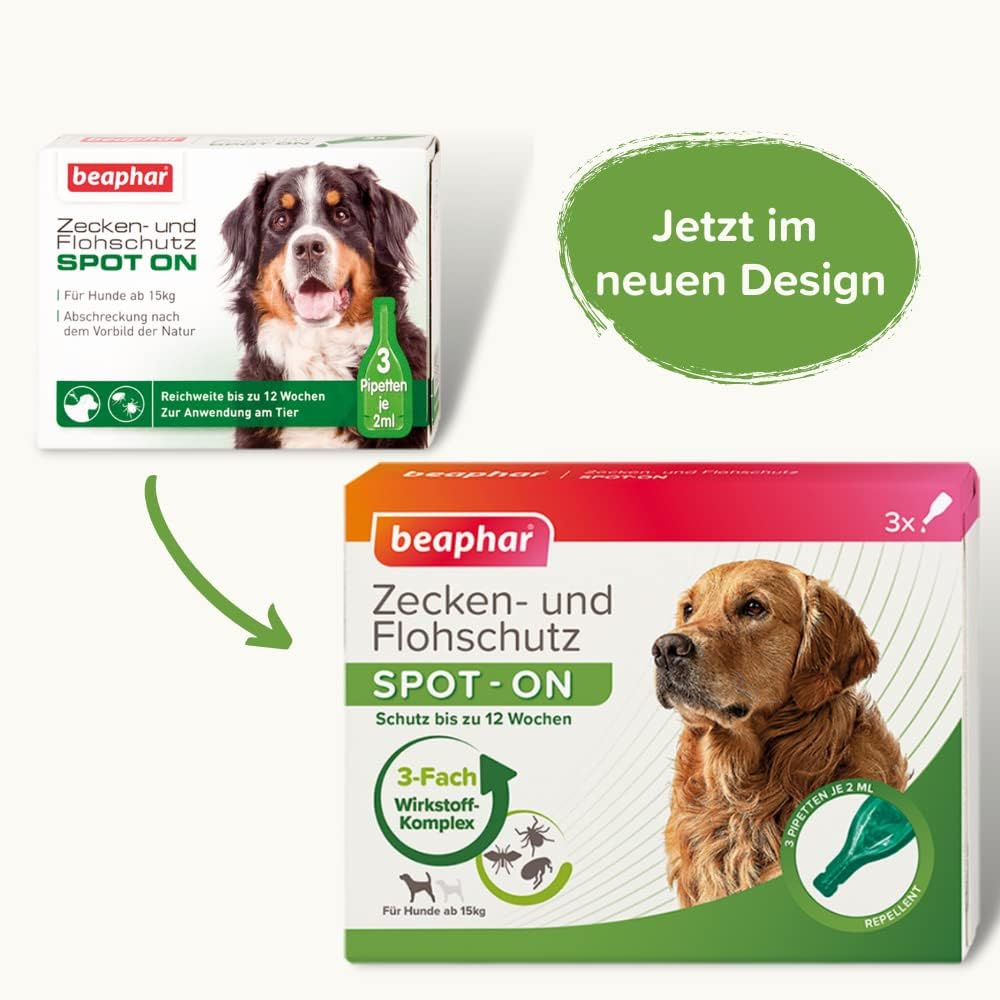 61WWNPQ0uKL. AC SL1000 .jpg