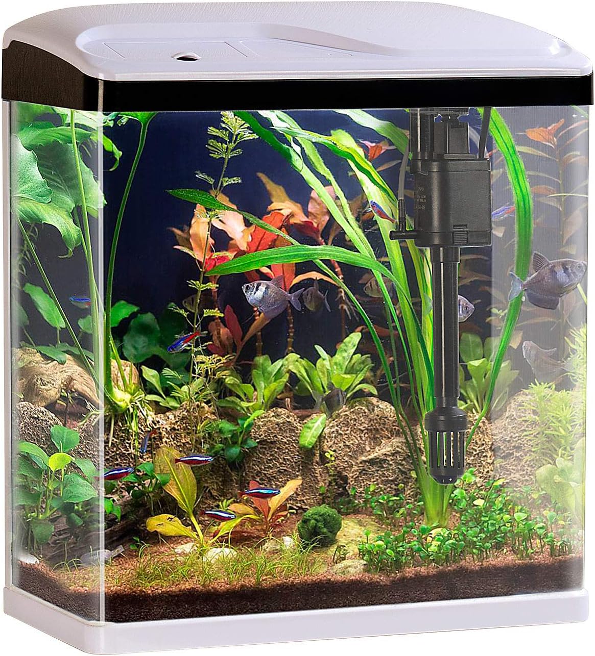 Aquarium: Nano-Aquarium Komplettset mit LED-Beleuchtung, Pumpe und Filter, 25 Liter (Aquarium) Aquarium: Nano-Aquarium Komplettset mit LED-Beleuchtung, Pumpe und Filter, 25 Liter (Aquarium)