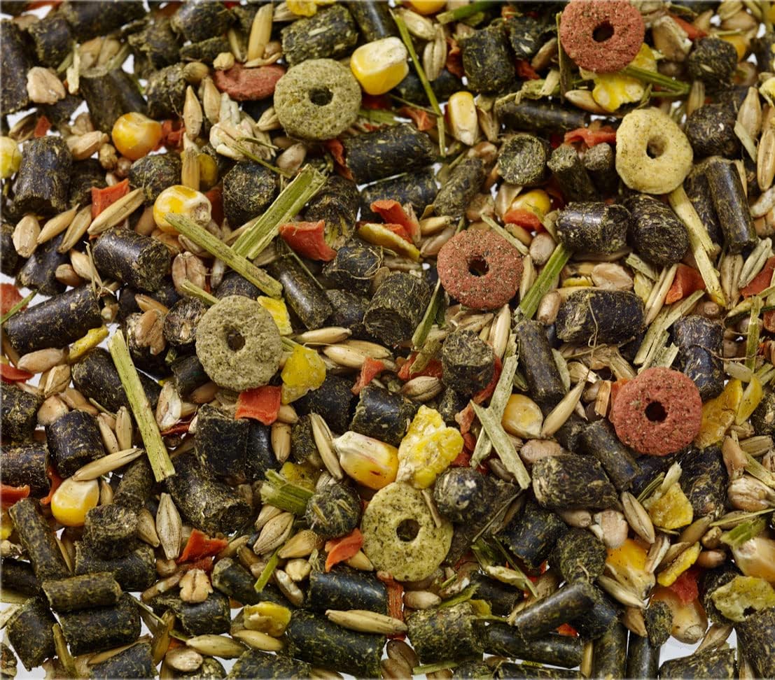 71HRitUN4zL. AC SL1107 .jpg